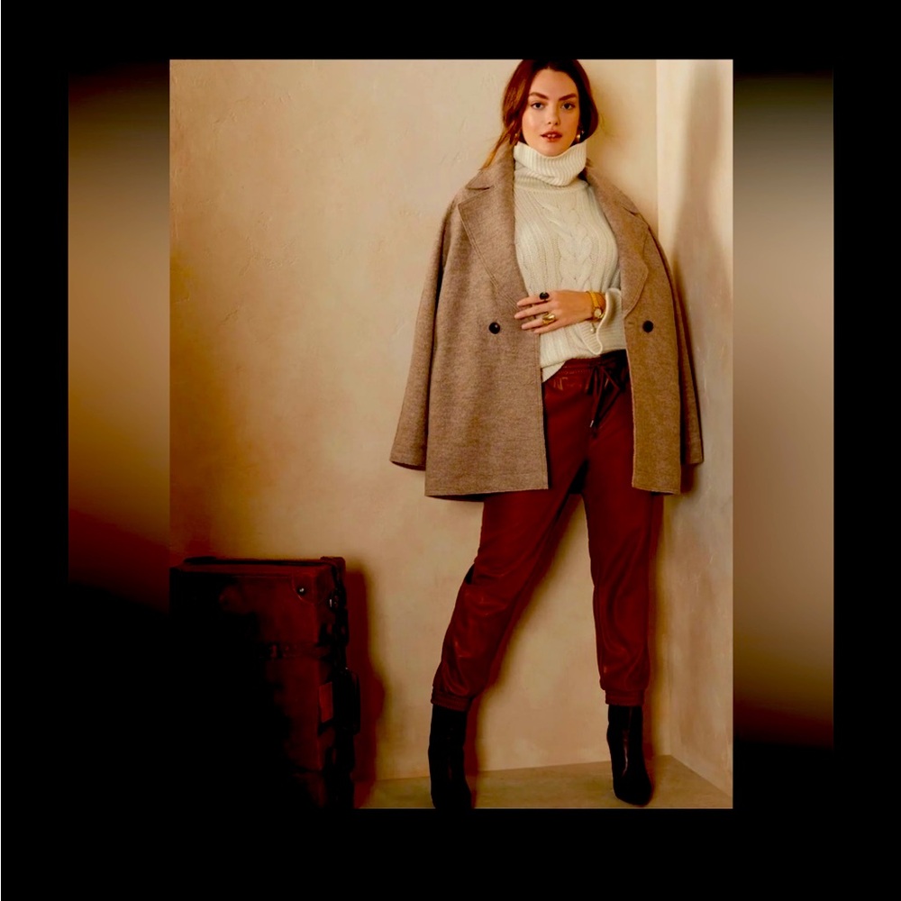 NWT. Banana Republic LUXE vegan leather, jogger style pants.